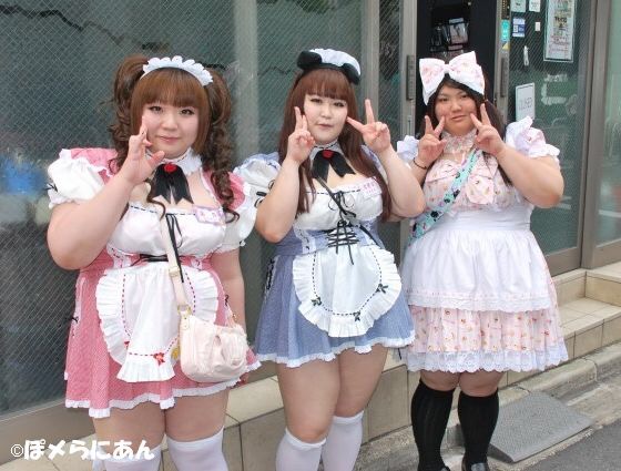 Akihabara Maid Cafe Chubby Girl Edition Japan Awesomeness